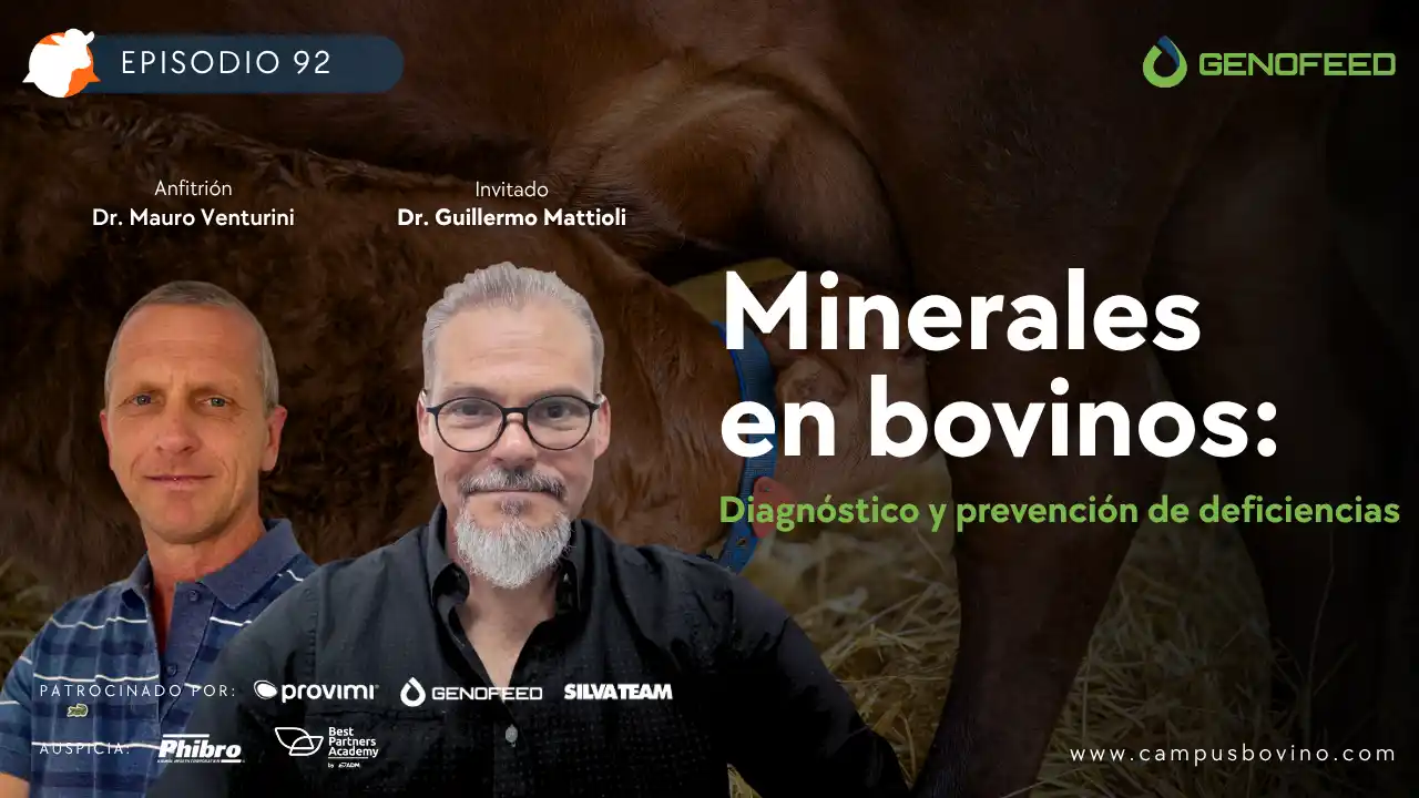 Dr. Guillermo Mattioli en CarneCast #92 hablando sobre minerales en bovinos y prevención de deficiencias.