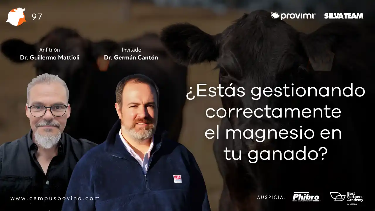 Gestión del magnesio en el ganado - Dr. Germán Cantón.