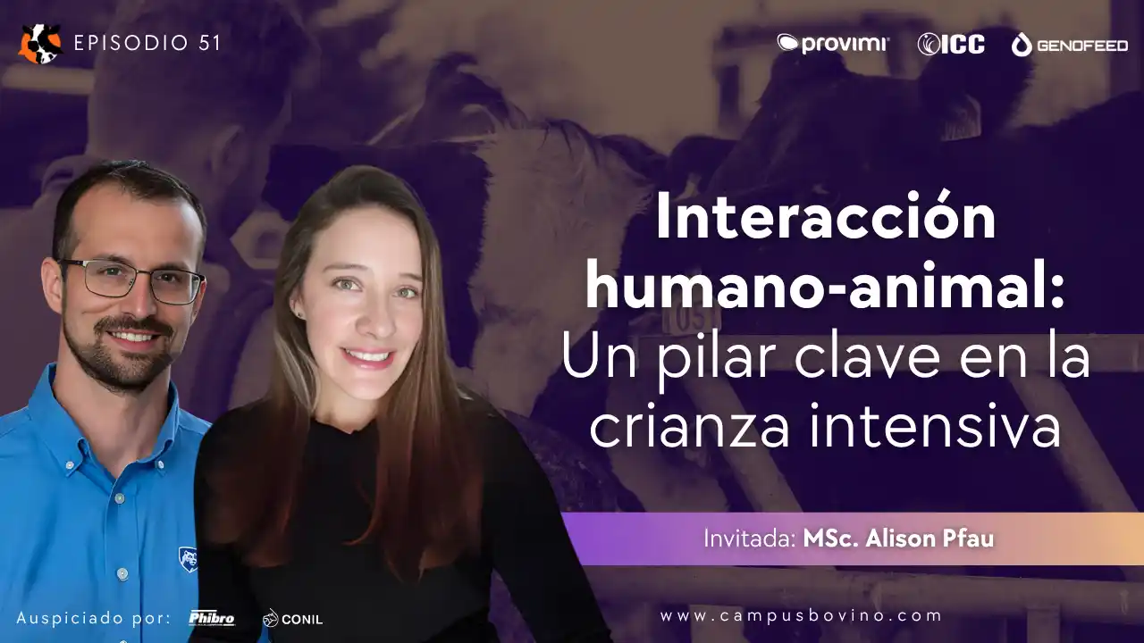 DairyCast #51 – Interacción humano-animal: Un pilar clave en la crianza intensiva – MSc. Alison Pfau