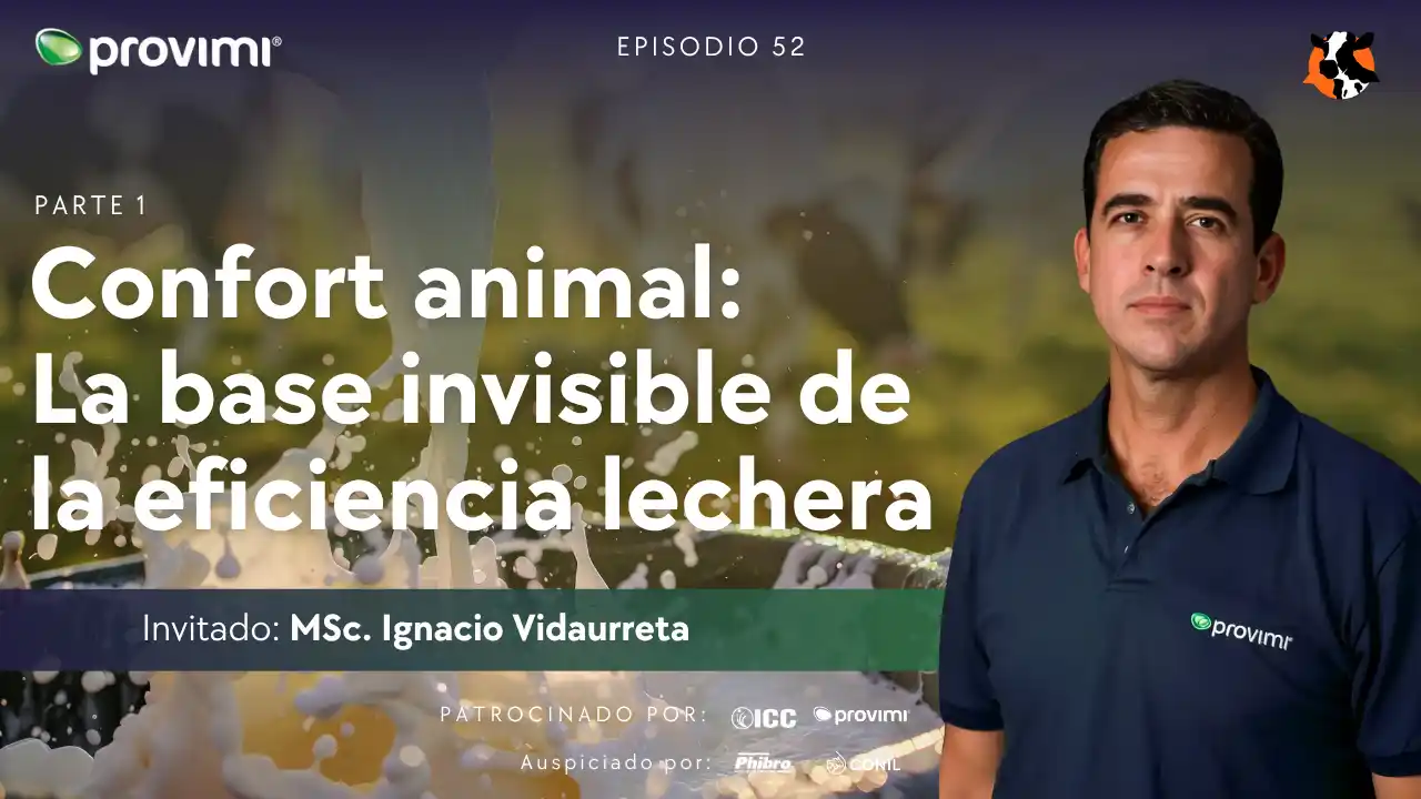 DairyCast #52 – Confort animal: La base invisible de la eficiencia lechera (Parte 1) – MSc. Ignacio Vidaurreta