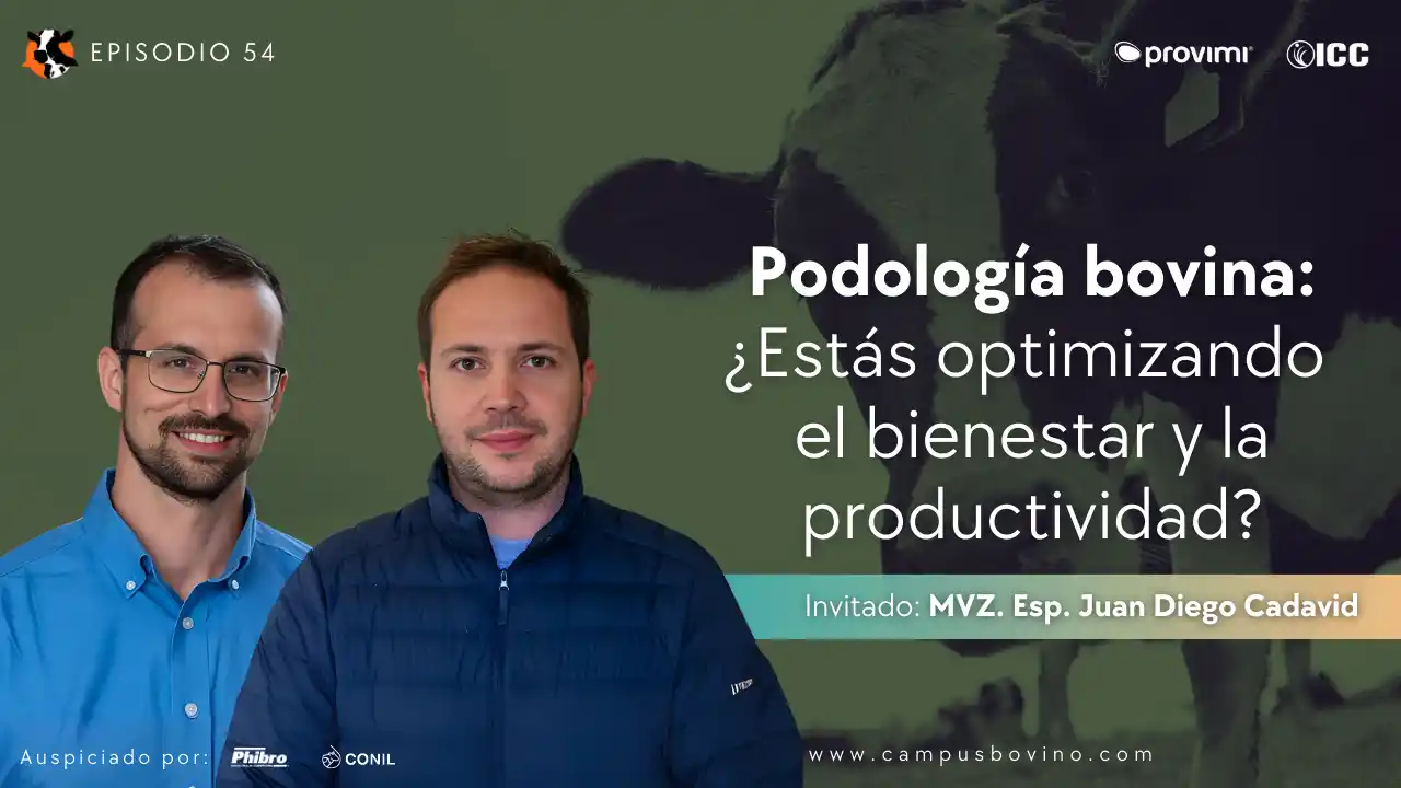 DairyCast #54 – Podología bovina: ¿Estás optimizando bienestar y productividad? – MVZ. Esp. Juan Diego Cadavid