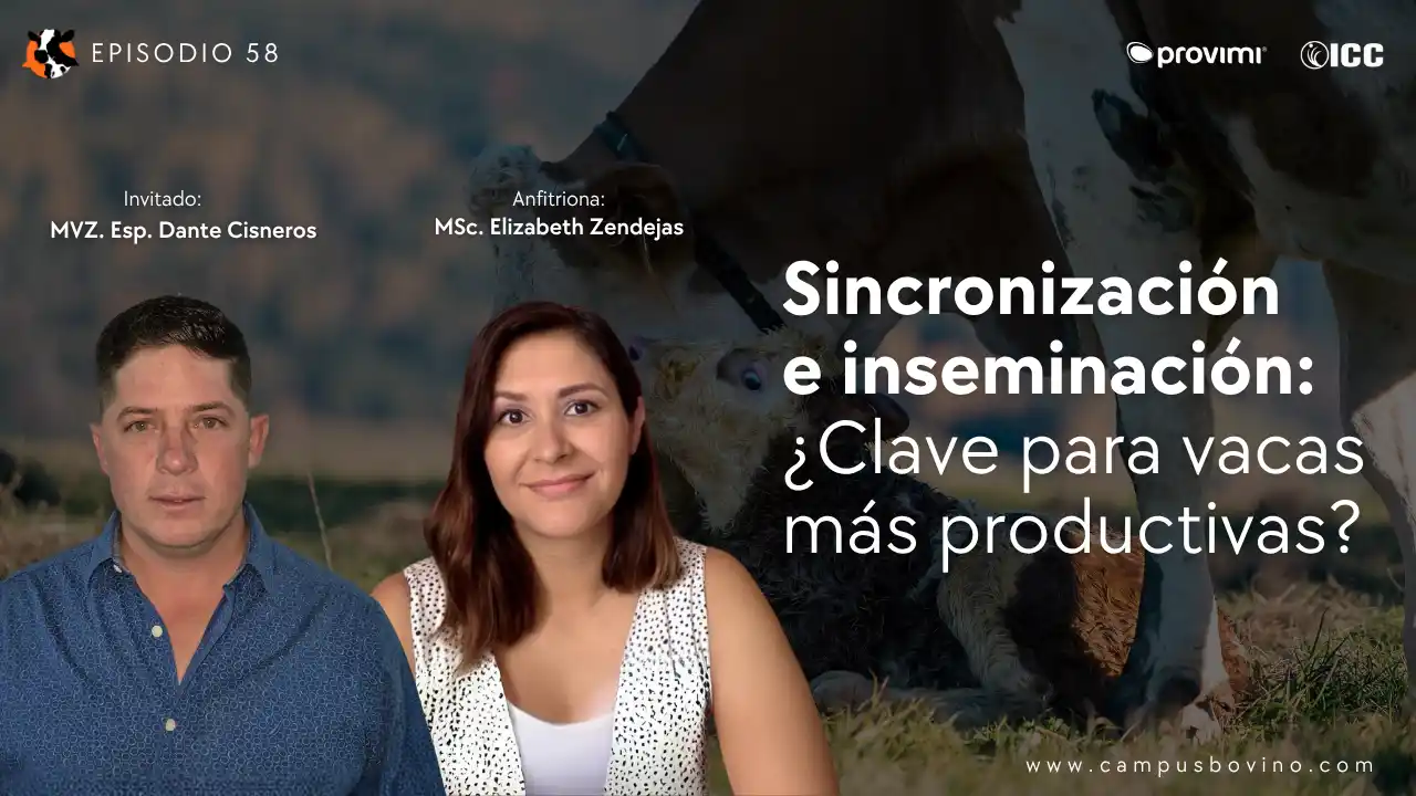 DairyCast #58 – Sincronización e inseminación: ¿Clave para vacas más productivas? – MVZ. Esp. Dante Cisneros