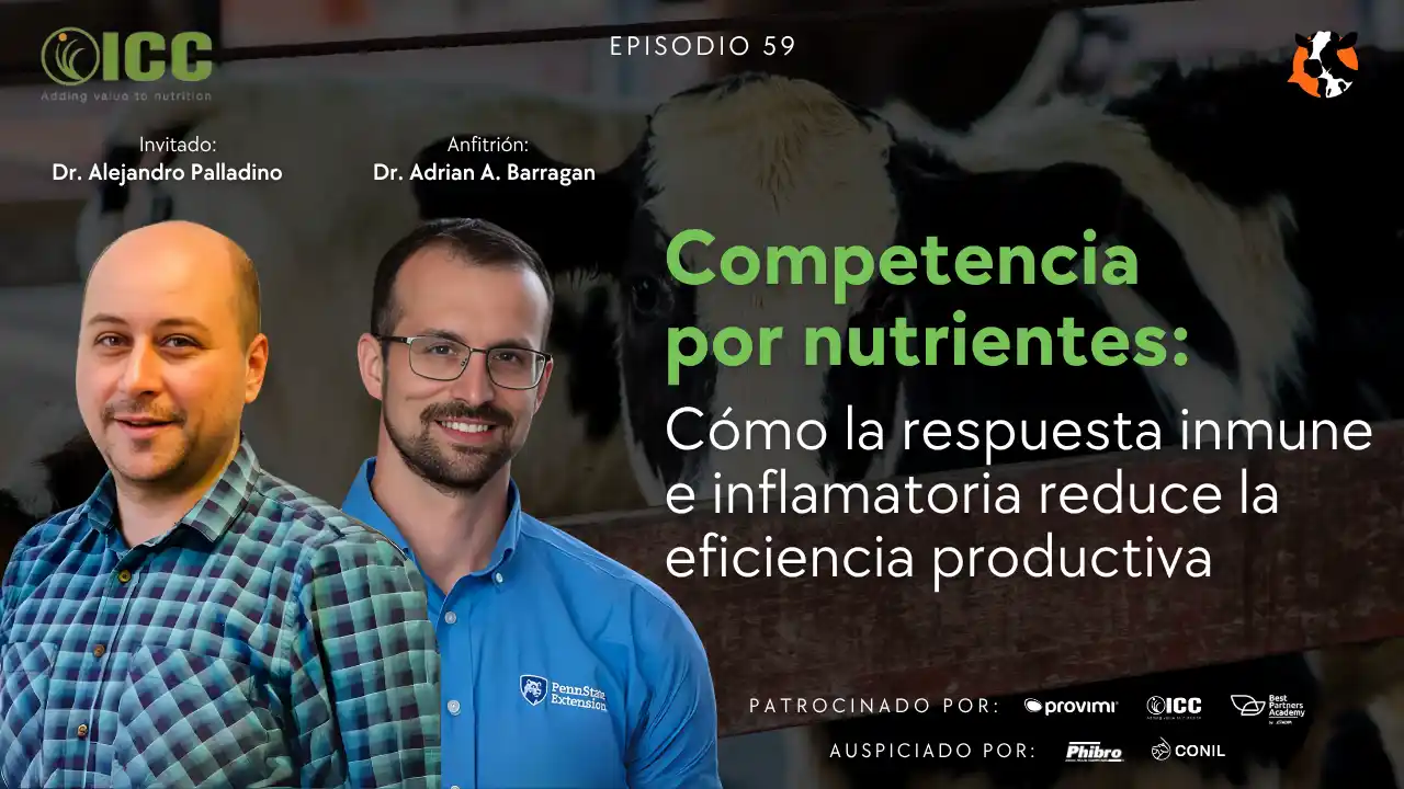 DairyCast #59 – Competencia por nutrientes: Costo productivo de la respuesta inmune – Dr. Alejandro Palladino