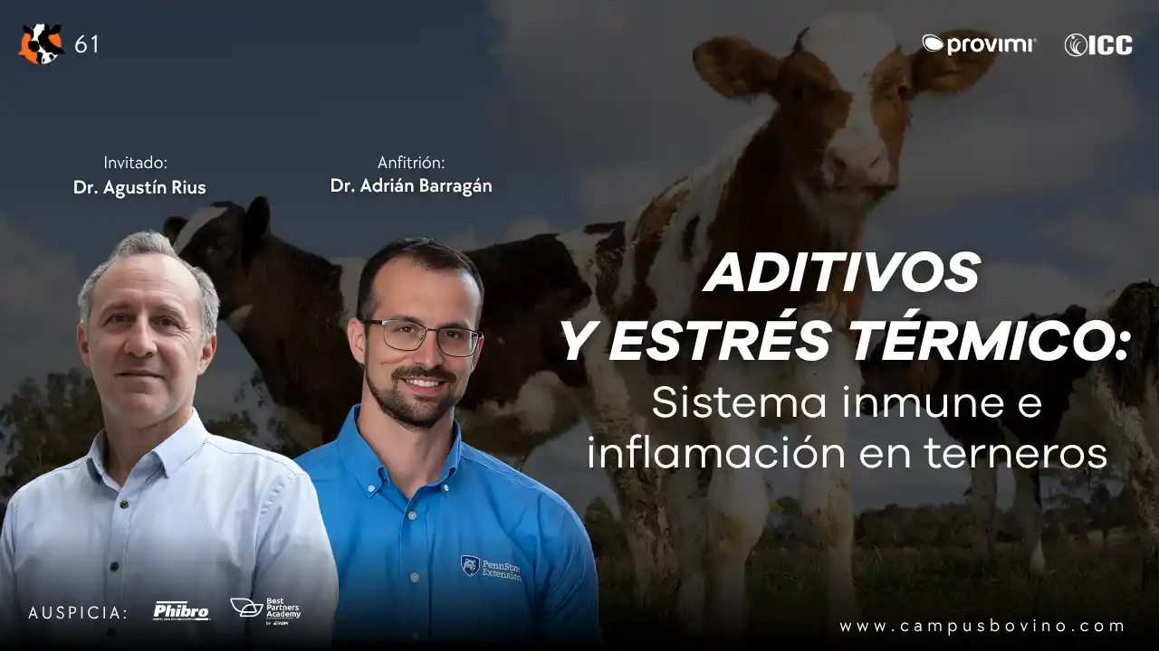 Aditivos y estrés térmico en terneros: Impacto en el sistema inmune e inflamación - Dr. Agustín Rius.